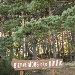 HES067 OK, La Pinilla 1