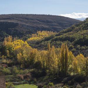 HES108 OK, río Duratón